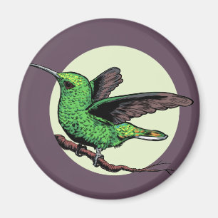 Imã Hummingbird