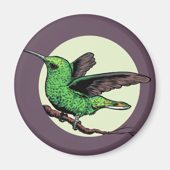 Imã Hummingbird (Frente)