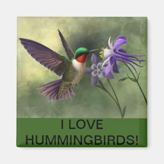 Imã Hummingbird alimentando-se com um ímã de flores