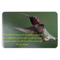 Hummingbird com Apache Dizendo