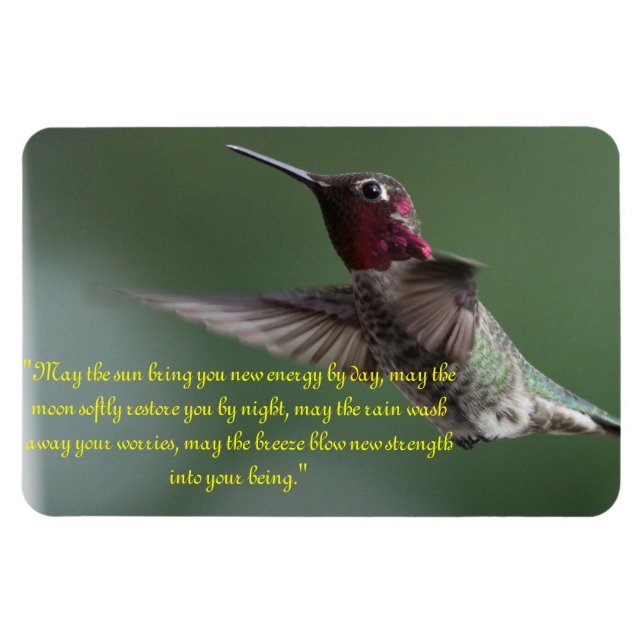 Ímã Hummingbird com Apache Dizendo (Horizontal)