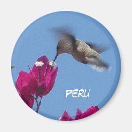 Imã Hummingbird do Peru Magnet