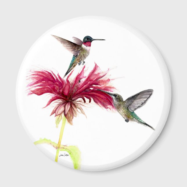 Imã Hummingbird Floral Watercolor (Hummingbirds Floral Watercolor Magnet by Jenn Steffen Art)