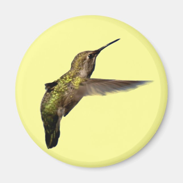 Imã Hummingbird no ímã redondo de voo (Frente)