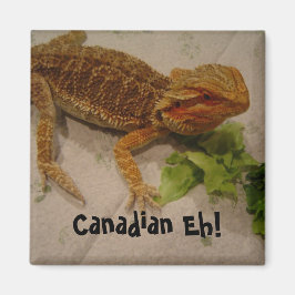 Imã Humor de Dragão Barbudo Canadense Eh!