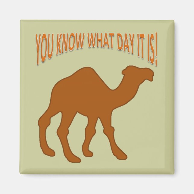 IMÃ HUMPDAY! CAMEL HUMP DAY SABE QUE DIA É (Frente)