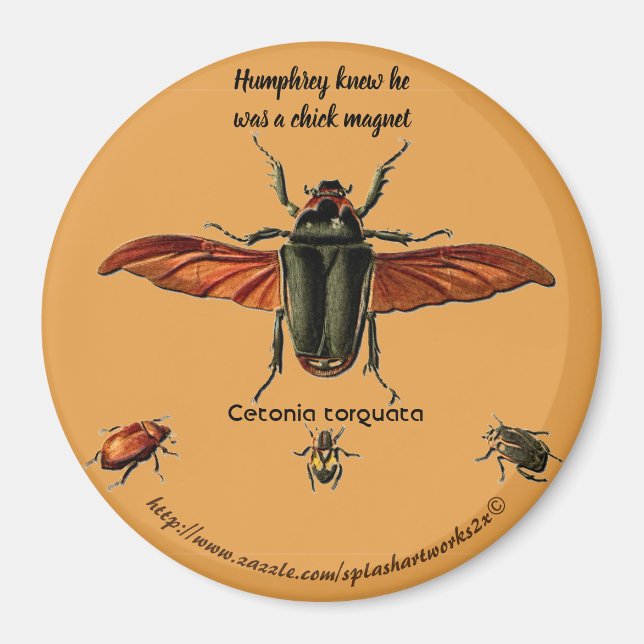 Imã "Humphrey sabia que ele era um pintinho de ímã" (Frente)