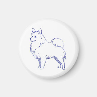 Imã Hunderasse Spitz