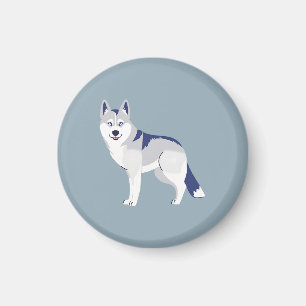 Imã Husky