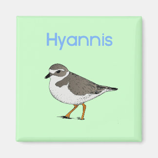 Imã hyannis-plover
