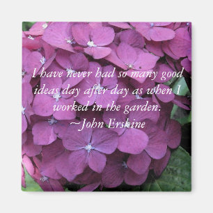 Imã Hydrangea e Cota de Gardening