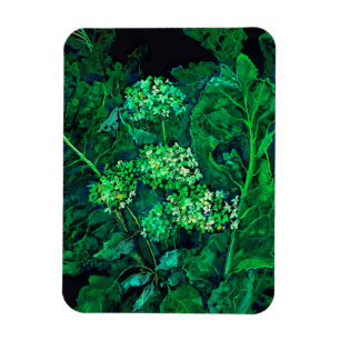 Ímã Hydrangea e Horseradish Floral Art Black & Green