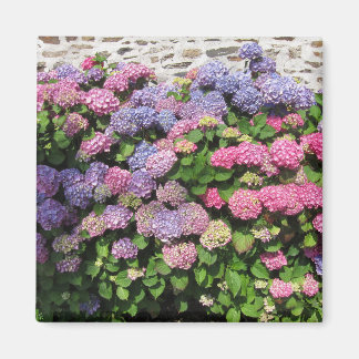 Imã Hydrangea Magnet