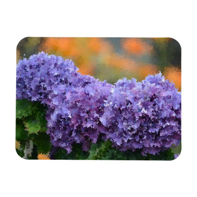 Ímã Hydrangea Magnet (Horizontal)