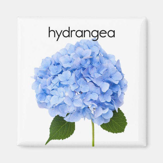 Imã Hydrangea Refrigerator Magnet (Frente)