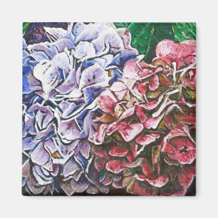 Imã Hydrangeas 2010