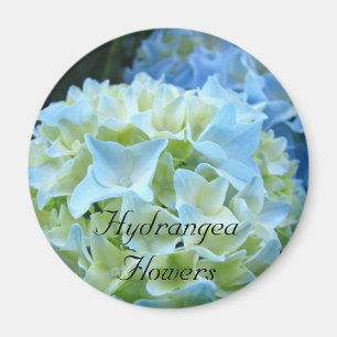 Imã Hydrangeas Flores Ímpar Azul Hydrangeas Floral