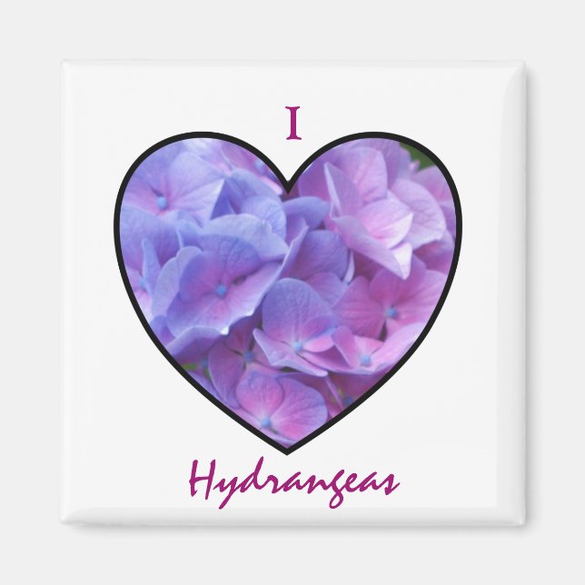 Imã Hydrangeas Magnet (Frente)