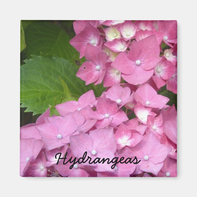 Imã Hydrangeas Rosa (Frente)