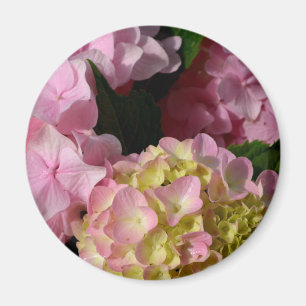 Imã Hydrangeas Rosa e Cream