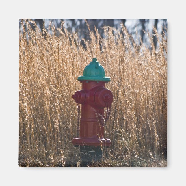 Imã Hydrant de Fogo (Frente)