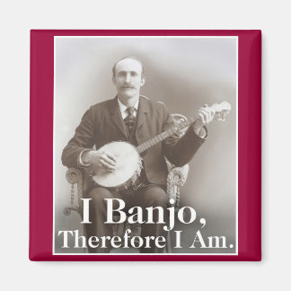 Imã I Banjo Magnet