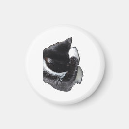 Imã I Can't Even Right Meow