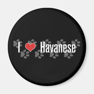 Imã I (coração) Havanês