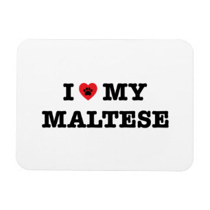 Ímã I Heart My Maltese