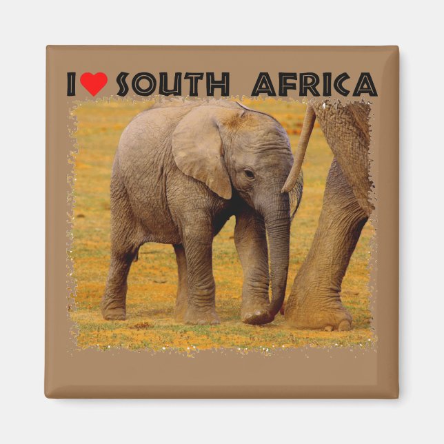 Imã I Heart South Africa Elephant calf Magnet (Frente)