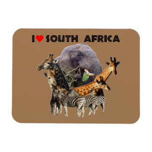 Ímã I Heart South Africa Wildlife Collage