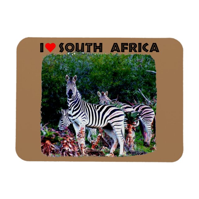 Ímã I Heart South Africa Zebra Aloe (Horizontal)
