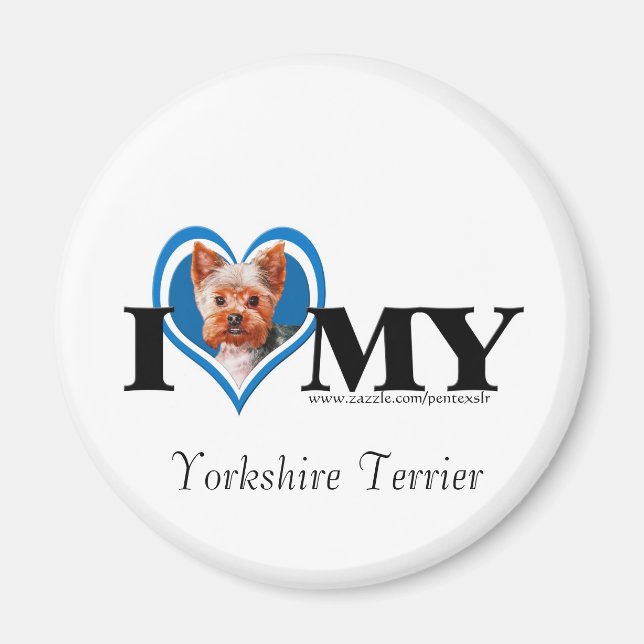 Imã I Heart Yorkshire Terrier-Blue-Magnet (Frente)