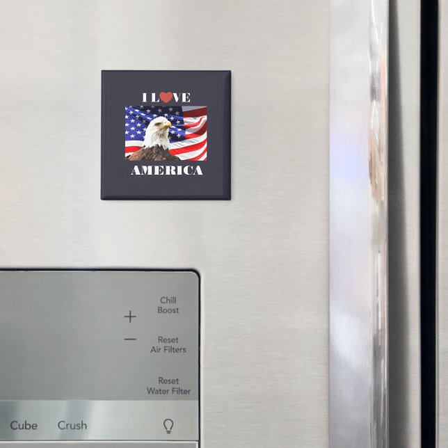 Imã I Love America (In Situ (Fridge))