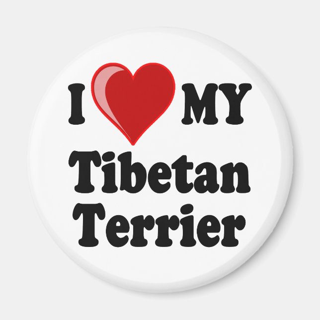 Imã I Love (Heart) My Tibetan Terrier Dog (Frente)