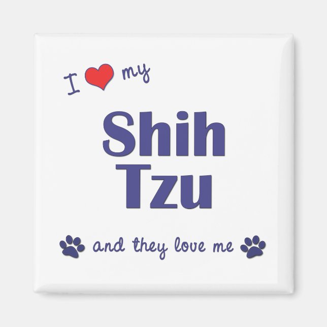 Imã I Love My Shih Tzu (Vários Cães) (Frente)