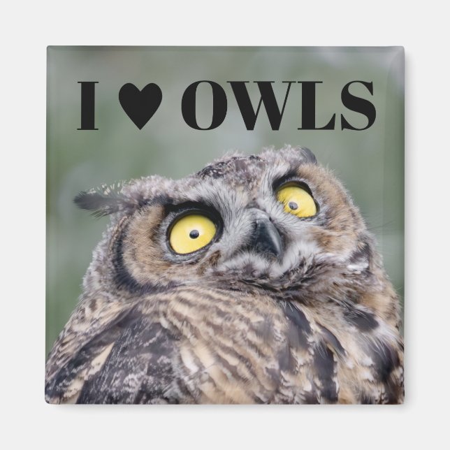 Imã I Love Owls Magnet (Frente)