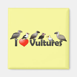 Imã I Love Vultures (África)