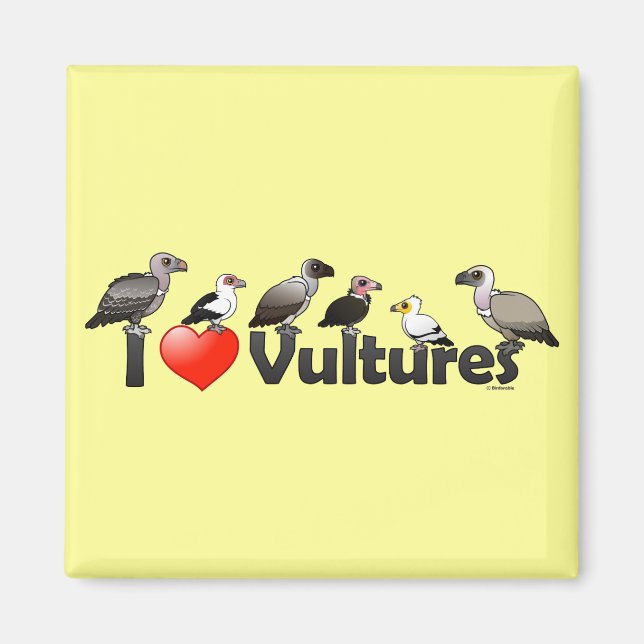 Imã I Love Vultures (África) (Frente)