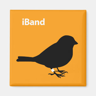 Imã iBand Orange