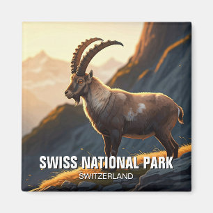 Imã Ibex na Suiça do Parque Nacional Suíço