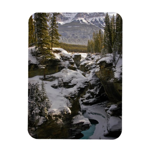 Ímã Ice & Snow | Jasper National Park Alberta, Canada (Vertical)