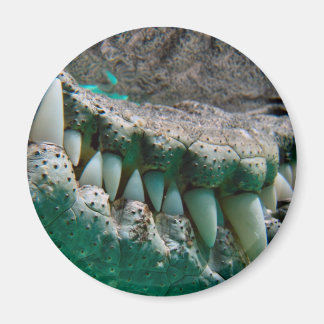 Imã Ícone Aussie - Big Croc Terry 2 - Magnet