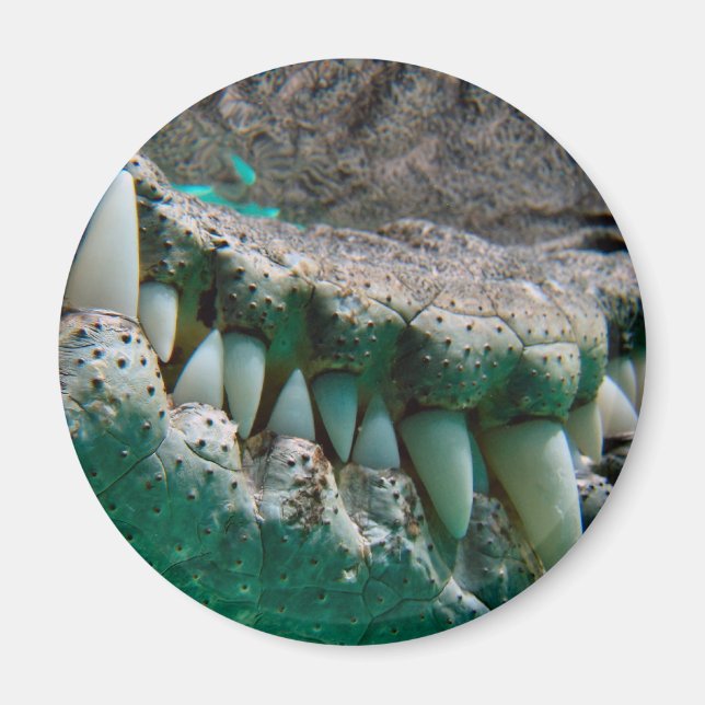 Imã Ícone Aussie - Big Croc Terry 2 - Magnet (Frente)