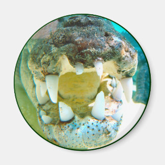 Imã Ícone Aussie - Big Croc Terry - Magnet