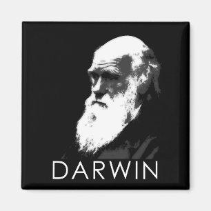 Imã Ícones da ciência: Darwin