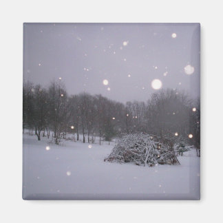 Imã Icy Glitter