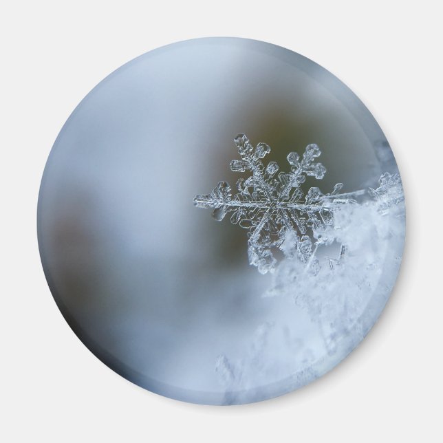 Imã Icy Snowflake (Frente)