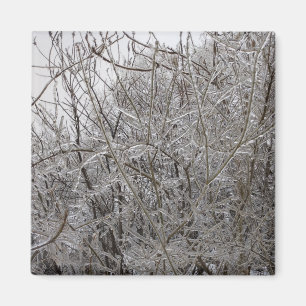 Imã Icy Twigs