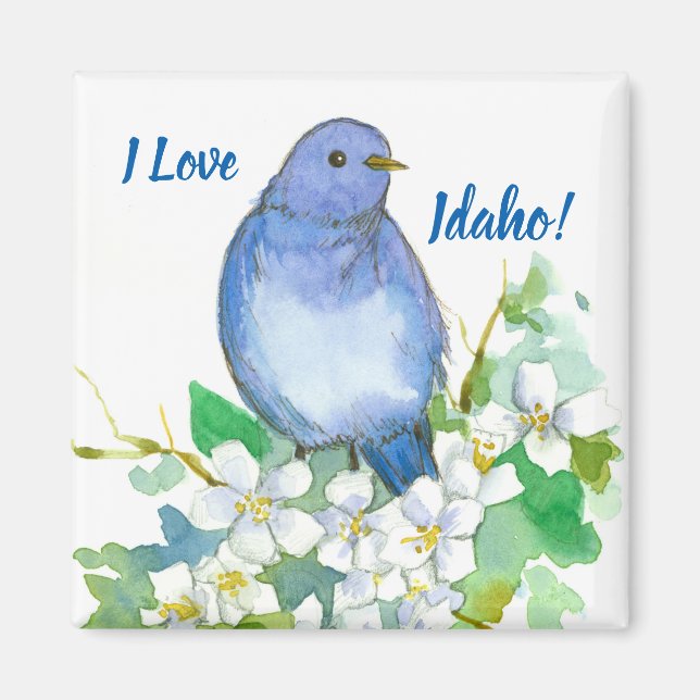 Imã Idaho Souvenir Mountain Bluebird Syringa (Frente)